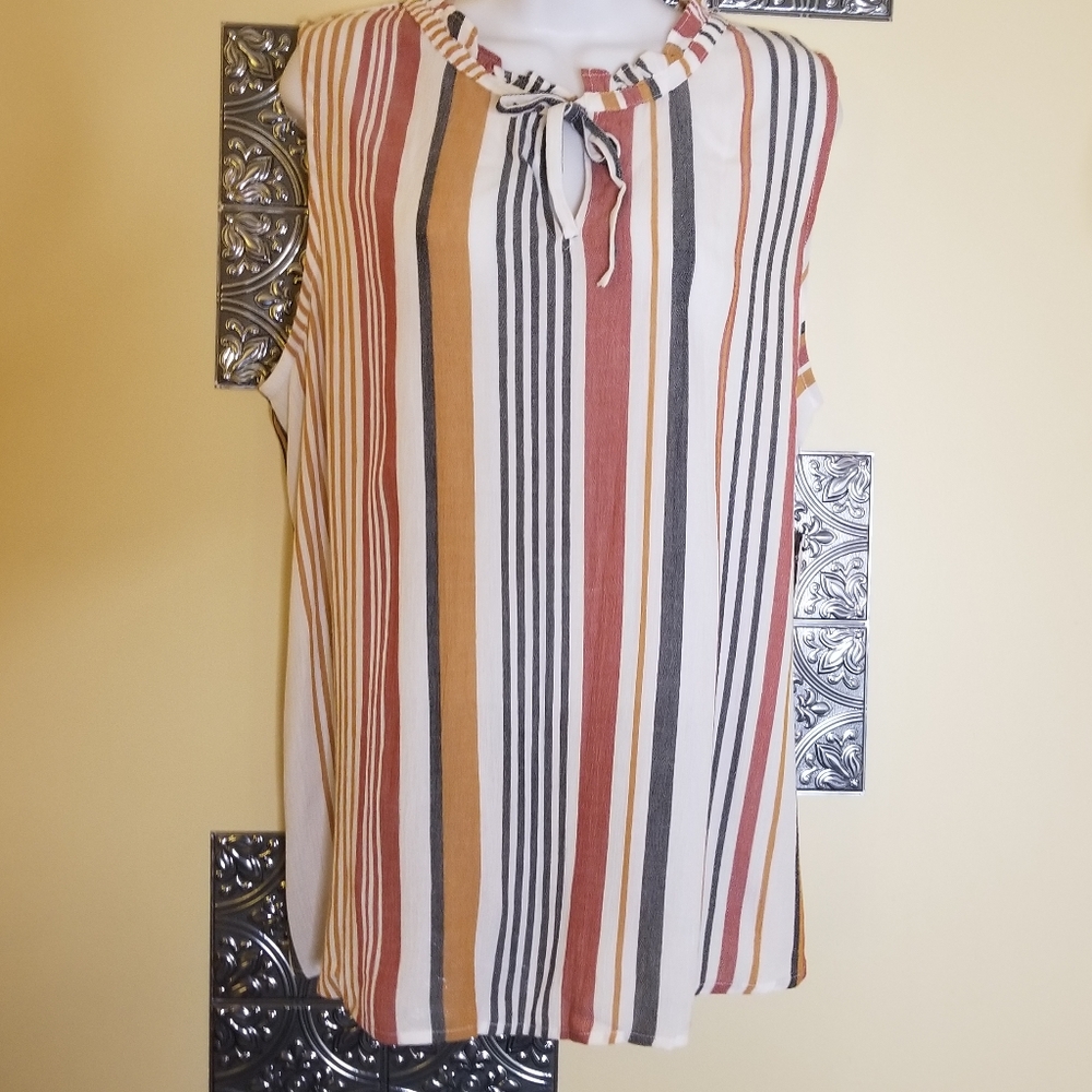 NWT Sleeveless Striped Top W/Dainty Detail Sz L